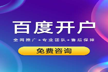 成功案例分享：SEM推广策略的制定与执行